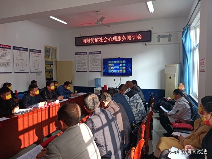 临渭区组织开展社会心理服务线上培训会（组图）
