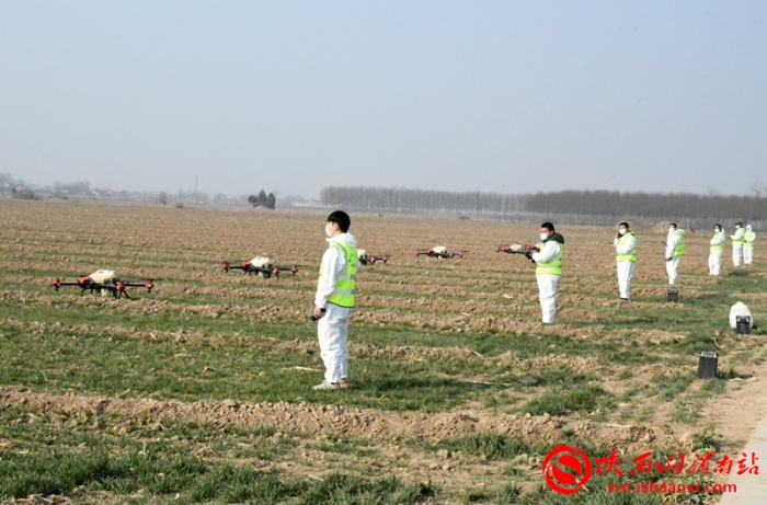 陕西省小麦抗灾强管百日行动现场推进会观摩临渭区小麦田间管理（组图）