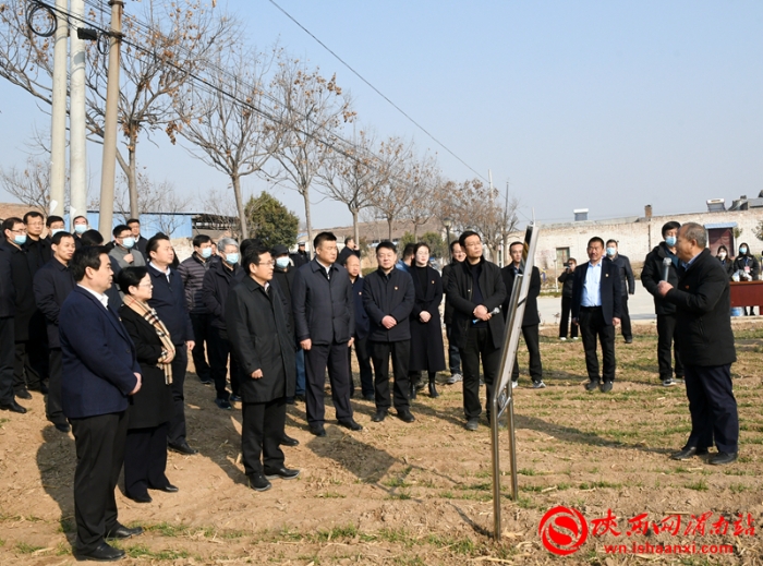 陕西省小麦抗灾强管百日行动现场推进会观摩临渭区小麦田间管理（组图）