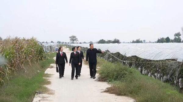 微信图片_2025-10-31_090519_943